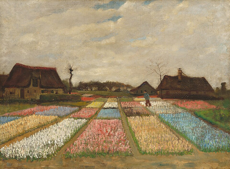 Bulb Fields - Vincent van Gogh