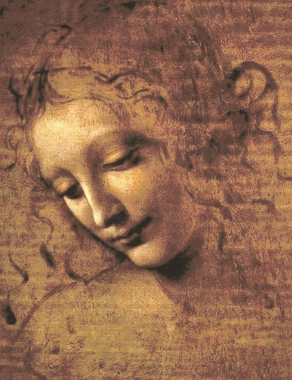 Scapigliata - Leonardo da Vinci