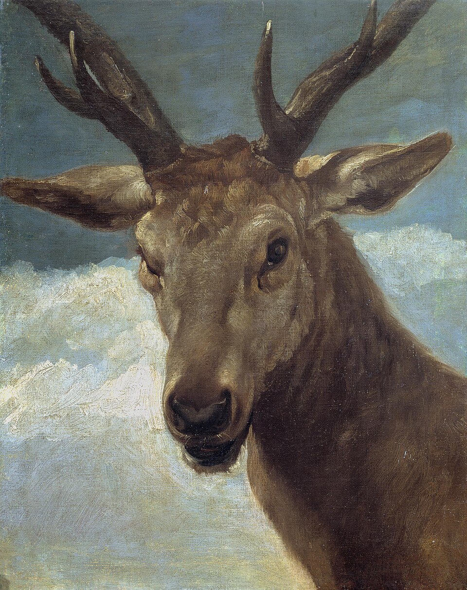 Head of a Stag - Diego Velázquez
