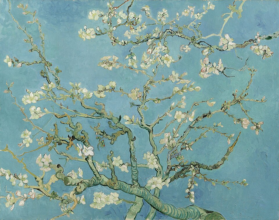 Hoa hạnh nhân - Vincent van Gogh